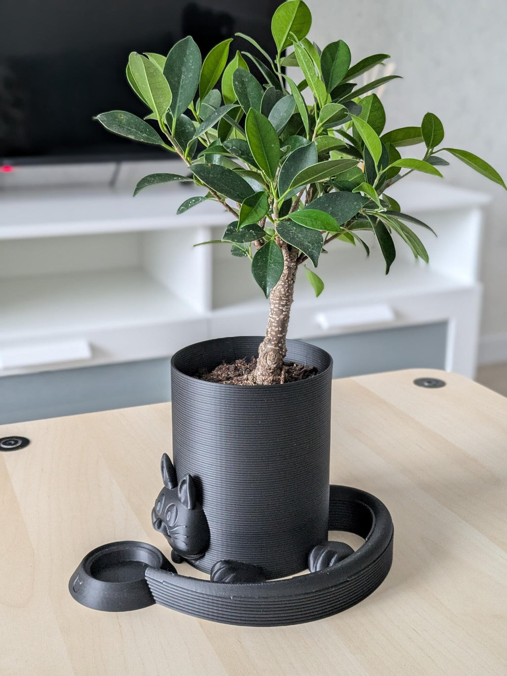 3D-Printed Cozy Cat Planter with Drainage