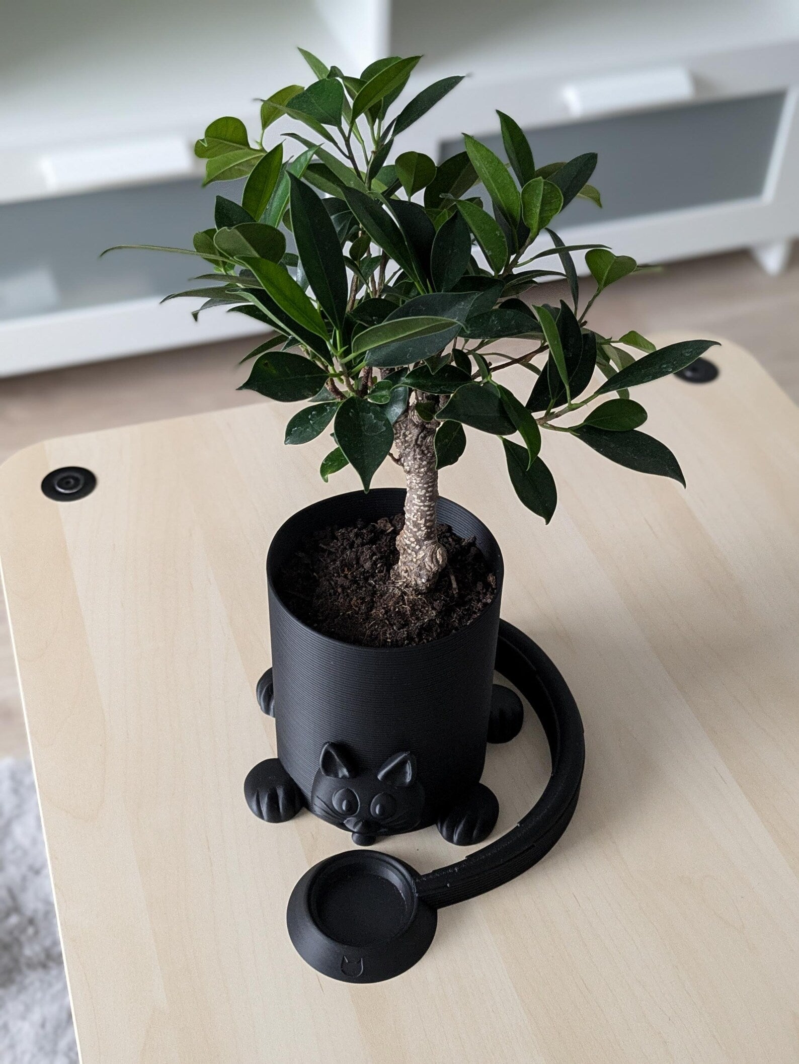 3D-Printed Cozy Cat Planter with Drainage